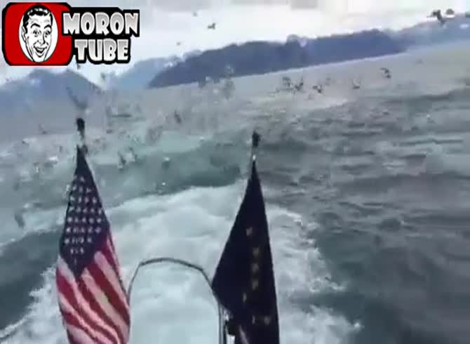 Video: Whales visit two fisherman to greet them
